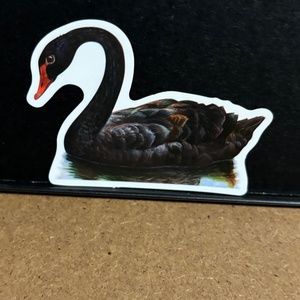 BLACK SWAN STICKER